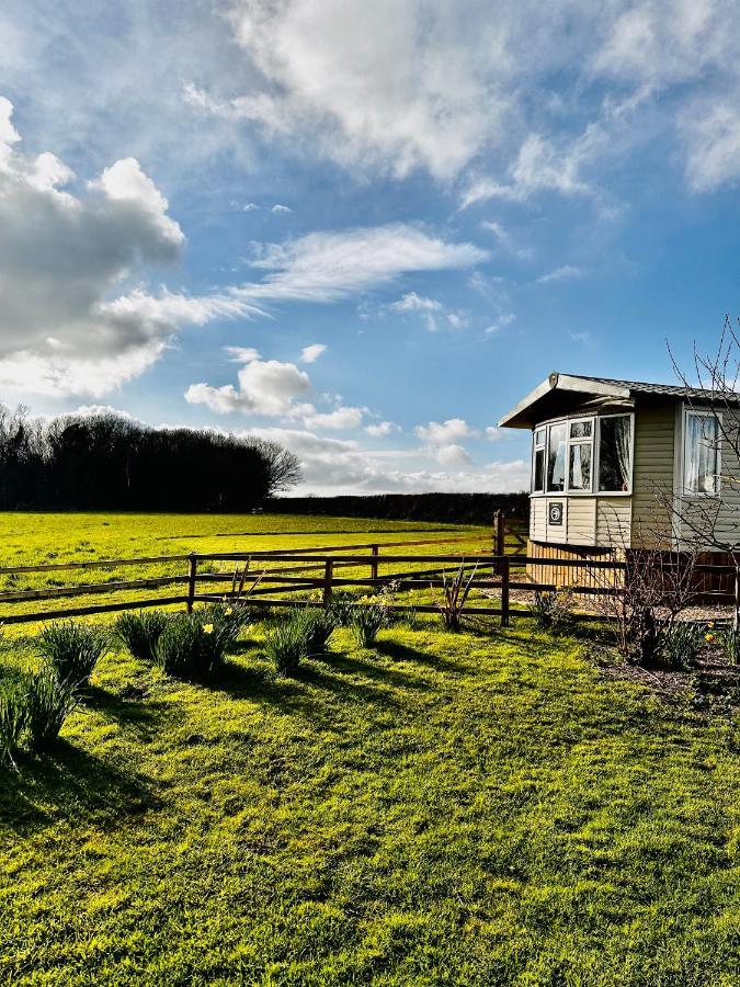 Highgate Mountain Villa Saint Twynnells Dış mekan fotoğraf