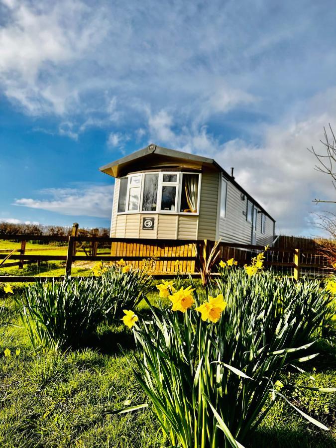 Highgate Mountain Villa Saint Twynnells Dış mekan fotoğraf